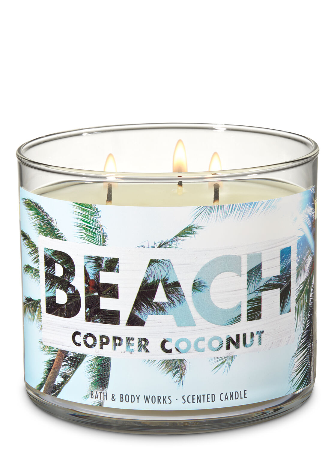 Copper coconut deals 3 wick candle