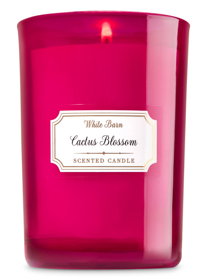 Cactus Blossom Gifts/Collections/Gifts for him Bath & Body Works