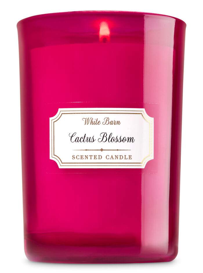Cactus Blossom fragranza Single Wick Candle