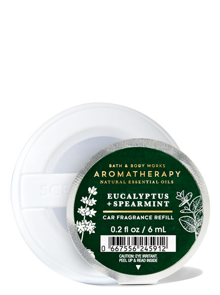 Eucalyptus Spearmint profumazione ambiente profumatori ambienti deodorante auto Bath & Body Works