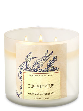 Eucalyptus fragranza 3-Wick Candle