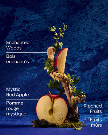 Snow White Home Fragrance/Home & Car Air fresheners/Wallflowers refill Bath & Body Works3