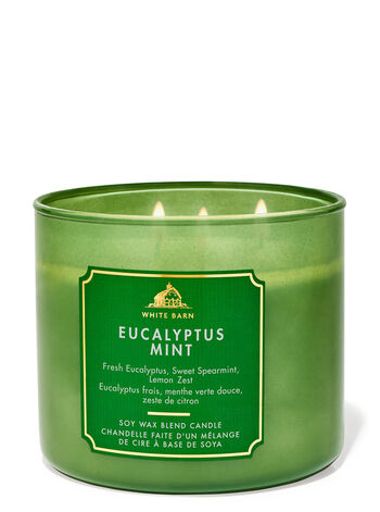 Eucalyptus Mint Home Fragrance/Featured/White Barn collection Bath & Body Works2