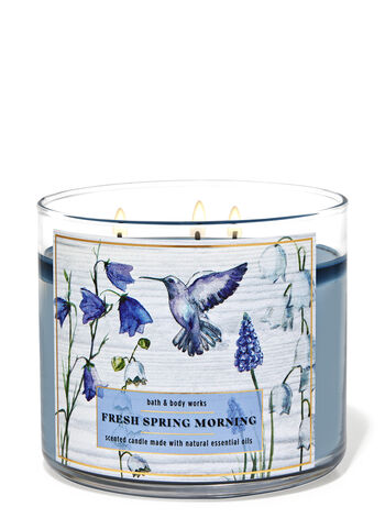 Fresh Spring Morning Home Fragrance/Candles Bath & Body Works1