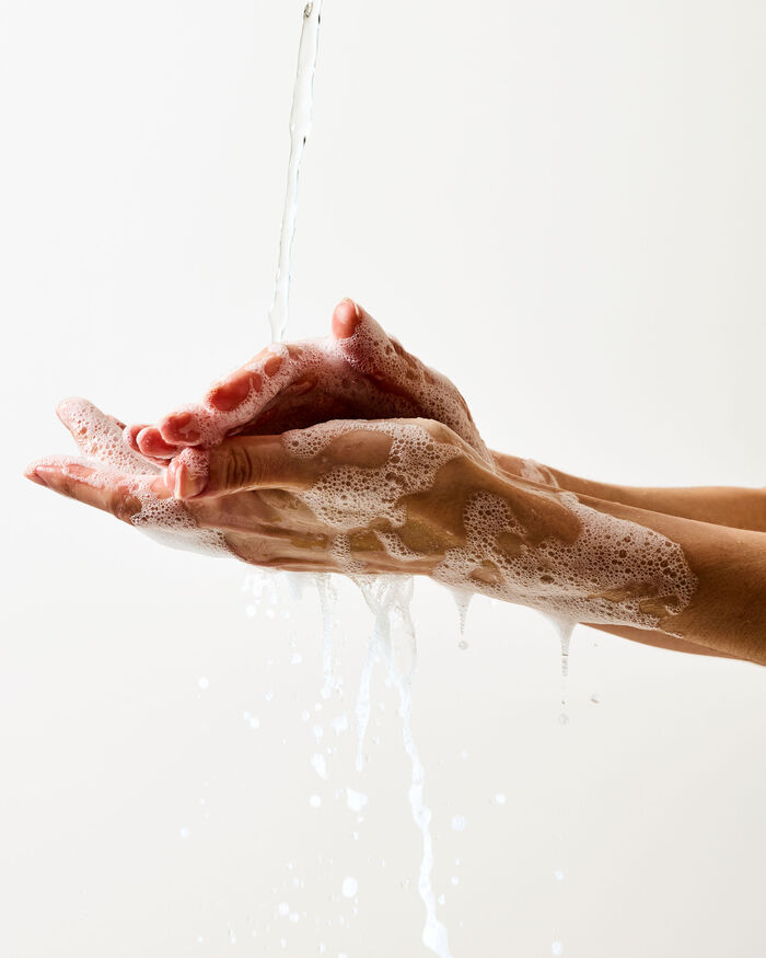 White Tea & Sage Hand Soaps & Sanitizers/Hand soaps/Gel soaps Bath & Body Works
