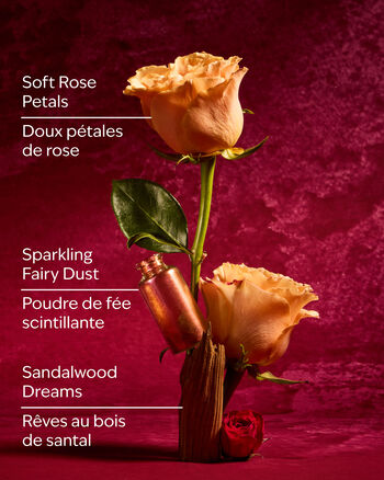 Aurora CANDELE/Tutte le Candele/Candela a Tre Stoppini Bath & Body Works3