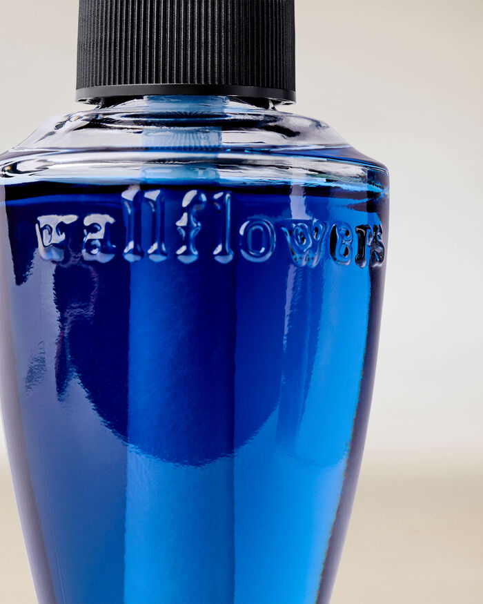 Ocean Town Bound Home Fragrance/Home & Car Air fresheners/Wallflowers refill Bath & Body Works