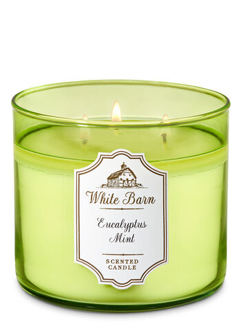 Eucalyptus Mint Gifts/Collections/Gifts for home Bath & Body Works1