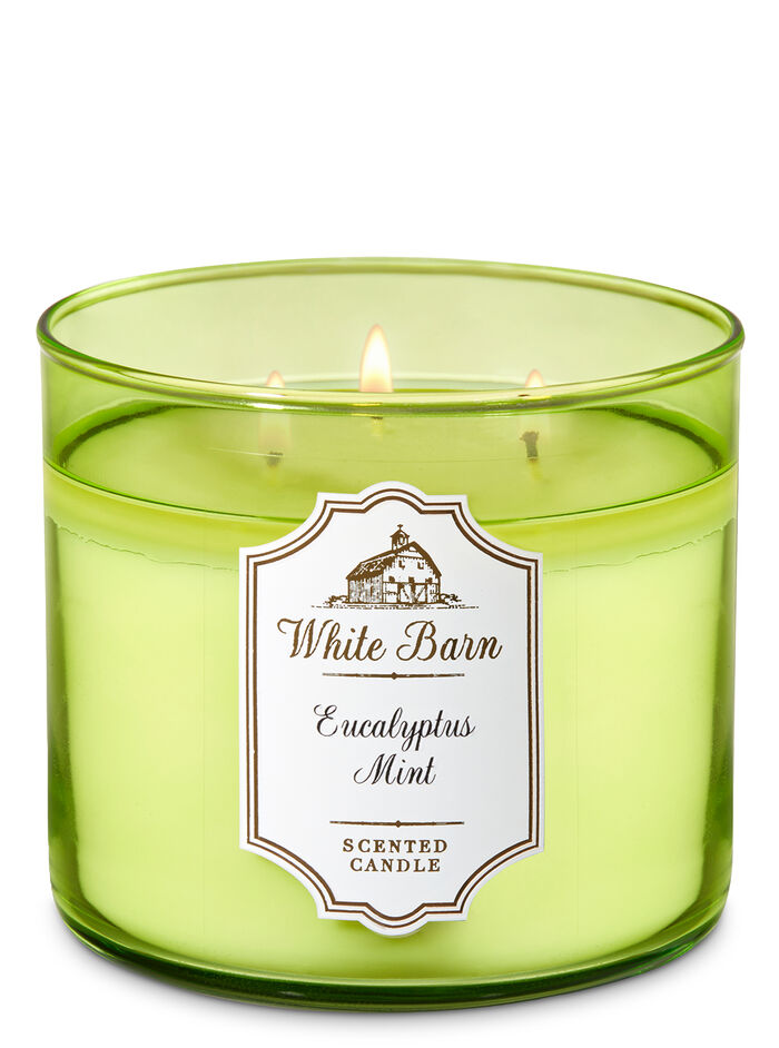 Eucalyptus Mint Gifts/Collections/Gifts for home Bath & Body Works