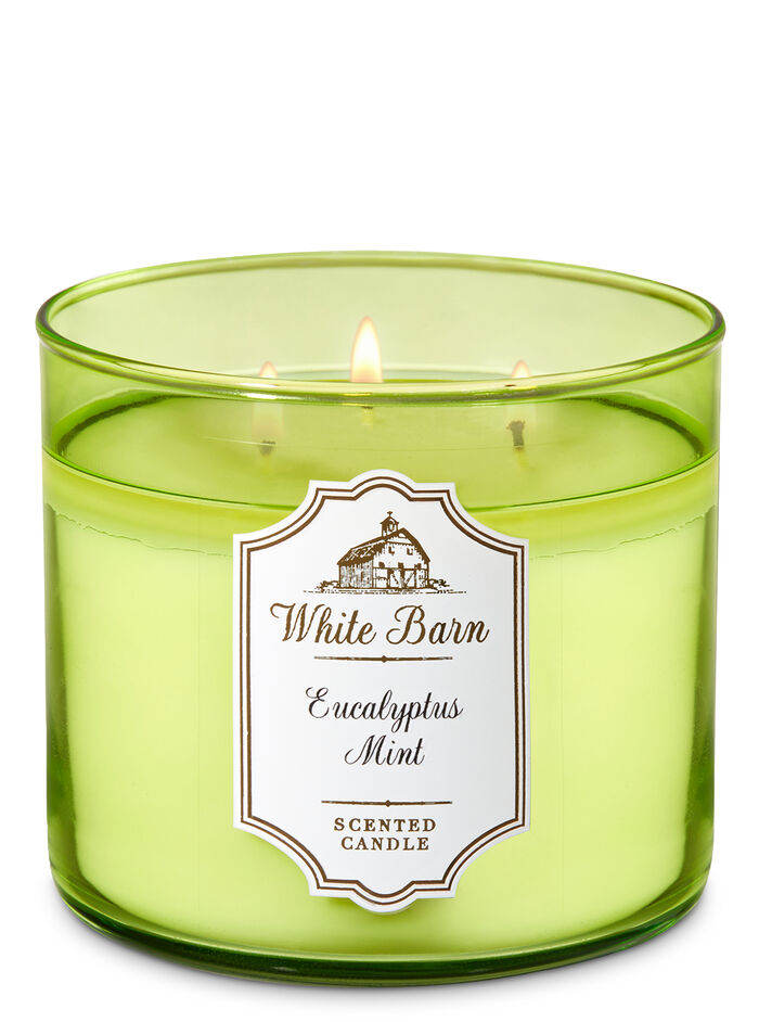 Eucalyptus Mint fragranza 3-Wick Candle