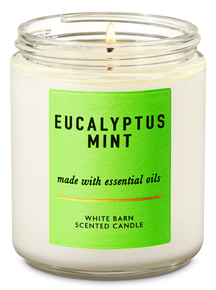 Eucalyptus Mint idee regalo collezioni regali per lui Bath & Body Works