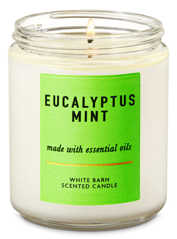 Eucalyptus Mint fragranza Single Wick Candle