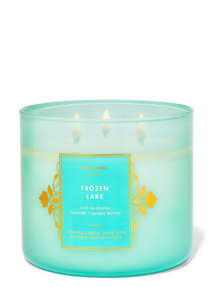 Frozen Lake Home Fragrance/Featured/White Barn collection Bath & Body Works