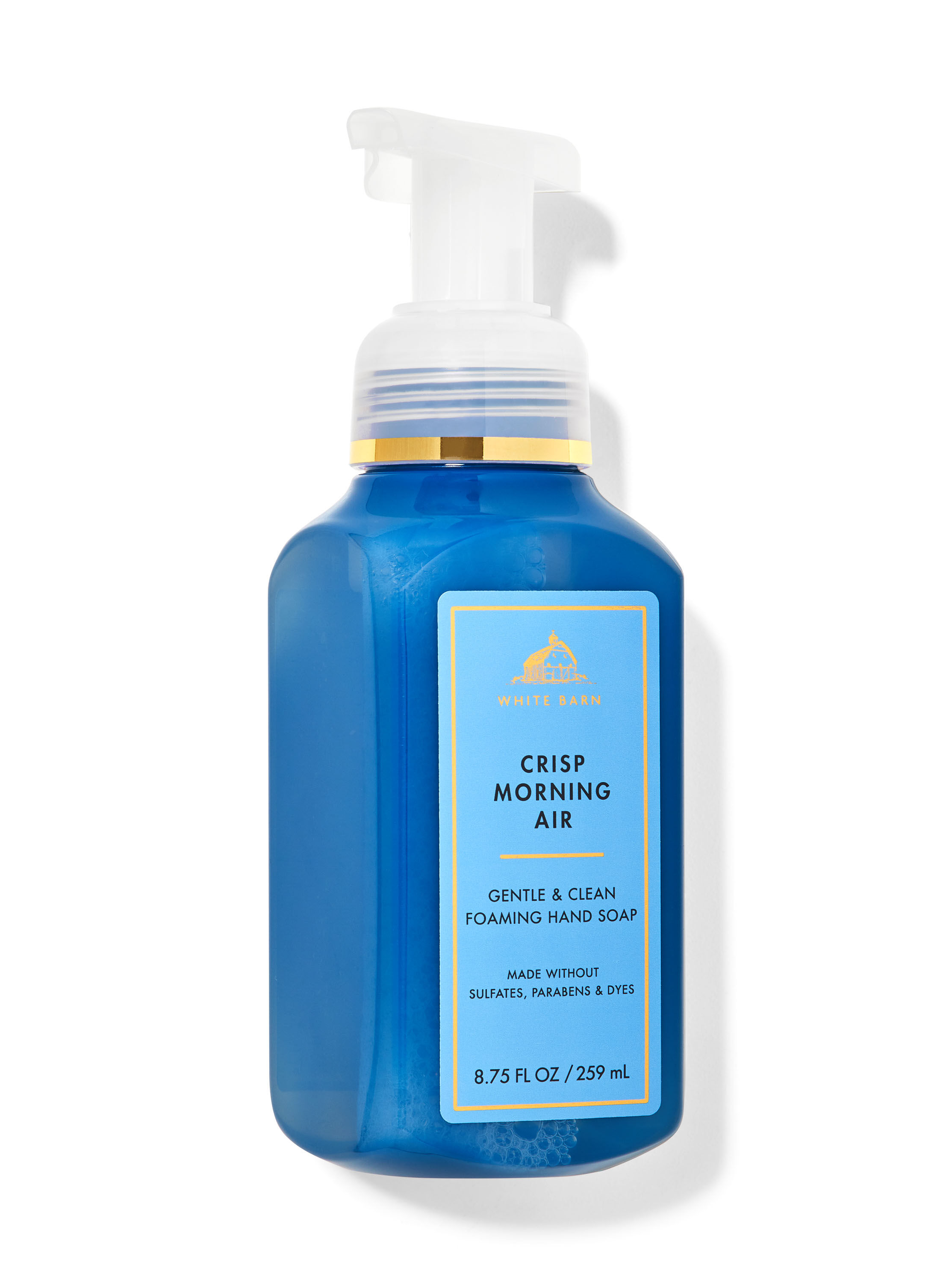 【Chrisp Morning Air】Bath&bodyworksハンドソープ Gentle & Clean Foaming Hand Soap Crisp Morning Air | Bath & Body
