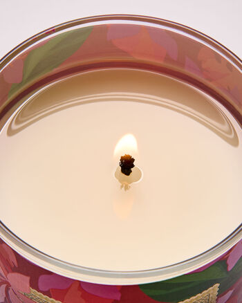 Viva Brazil Home Fragrance/Featured/White Barn collection Bath & Body Works3