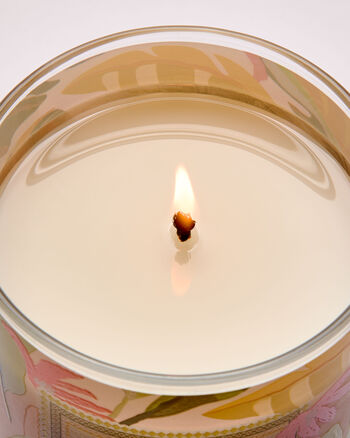 Coconut Pi&ntilde;a Colada Home Fragrance/Featured/White Barn collection Bath & Body Works3