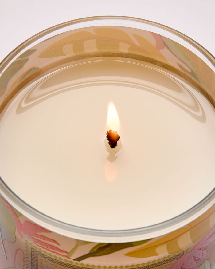 Coconut Pi&ntilde;a Colada Home Fragrance/Featured/White Barn collection Bath & Body Works