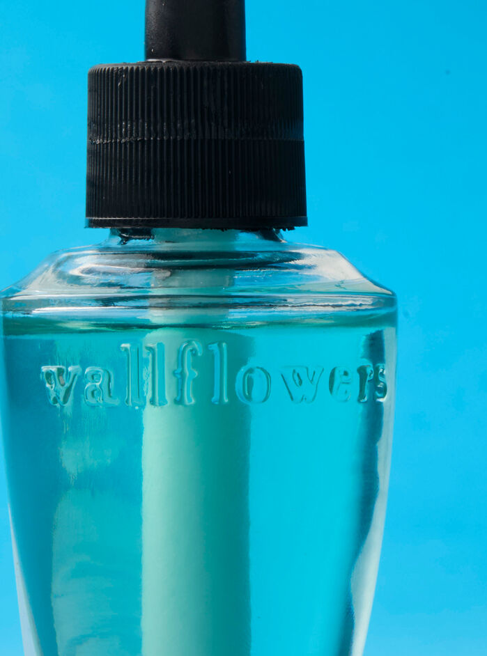 Snowball Fight Home Fragrance/Home & Car Air fresheners/Wallflowers refill Bath & Body Works