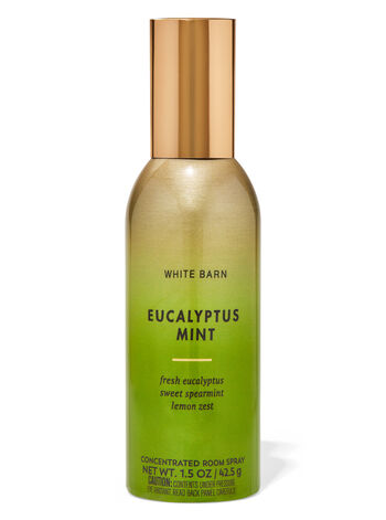 Eucalyptus Mint fragranza Spray per ambienti concentrato