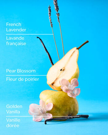 Moonlit Goddess Home Fragrance/Featured/White Barn collection Bath & Body Works2