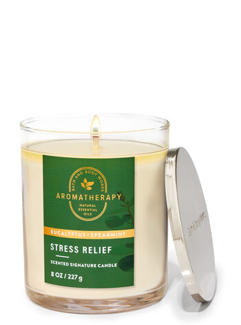 Eucalyptus Spearmint home fragrance candles 1-wick candles Bath & Body Works1