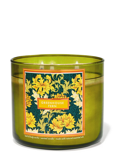Greenhouse Fern home fragrance candles 3-wick candles Bath & Body Works