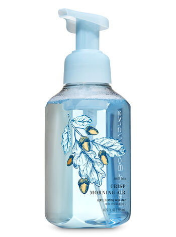 Crisp Morning Air SAPONI E IGIENIZZANTI MANI/VEDI TUTTI SAPONI E IGIENIZZANTI MANI Bath & Body Works1