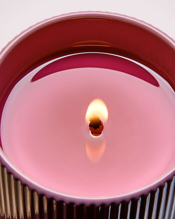 Lavender & Hinoki CANDELE/Tutte le Candele/Candela a Uno Stoppino Bath & Body Works3