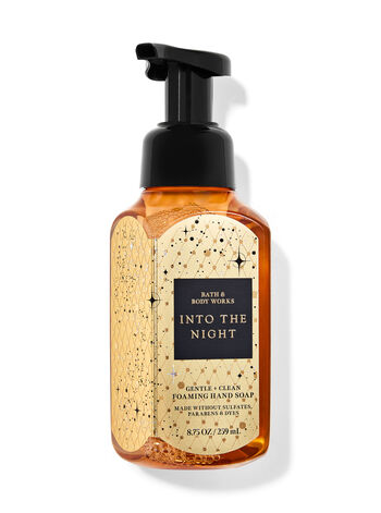 Into the Night Hand Soaps & Sanitizers/Hand soaps/Foam soaps Bath & Body Works1