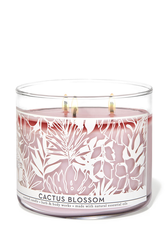 Cactus Blossom Gifts/Collections/Gifts for home Bath & Body Works
