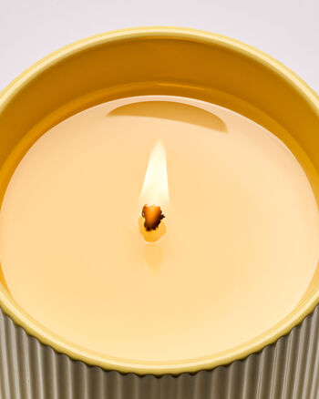 Cozy Amber & Vanilla CANDELE/Tutte le Candele/Candela a Uno Stoppino Bath & Body Works3