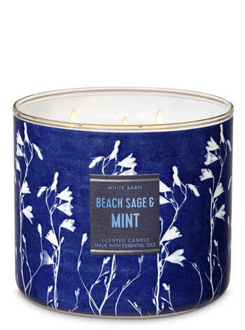Beach Sage & Mint Gifts/Collections/Gifts for home Bath & Body Works1