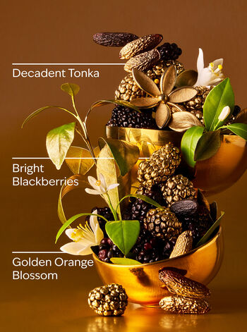 Touch of Gold Body care/Moisturizers/Body cream Bath & Body Works2