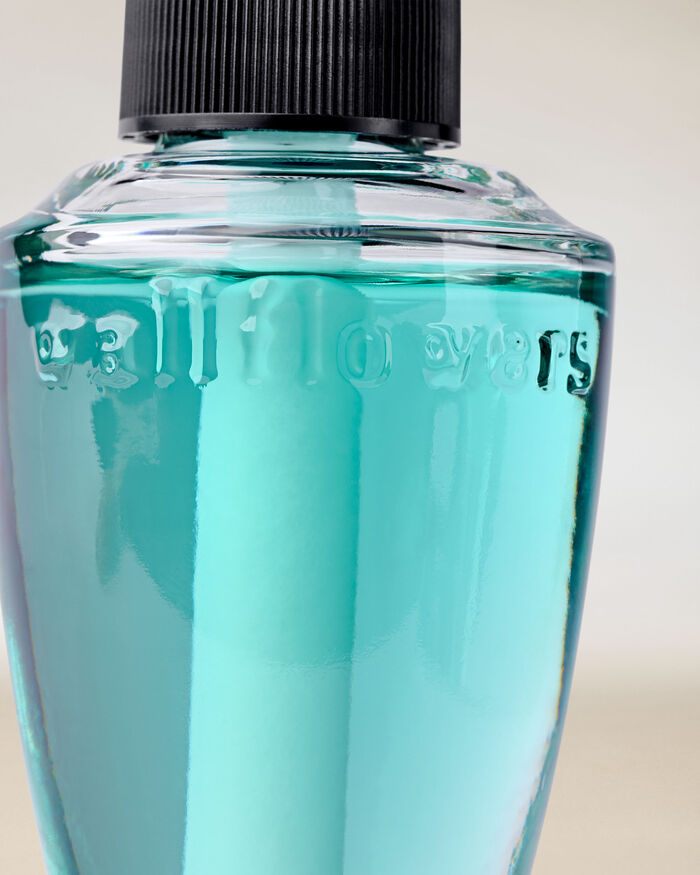 Sea Salt & Driftwood Home Fragrance/Home & Car Air fresheners/Wallflowers refill Bath & Body Works