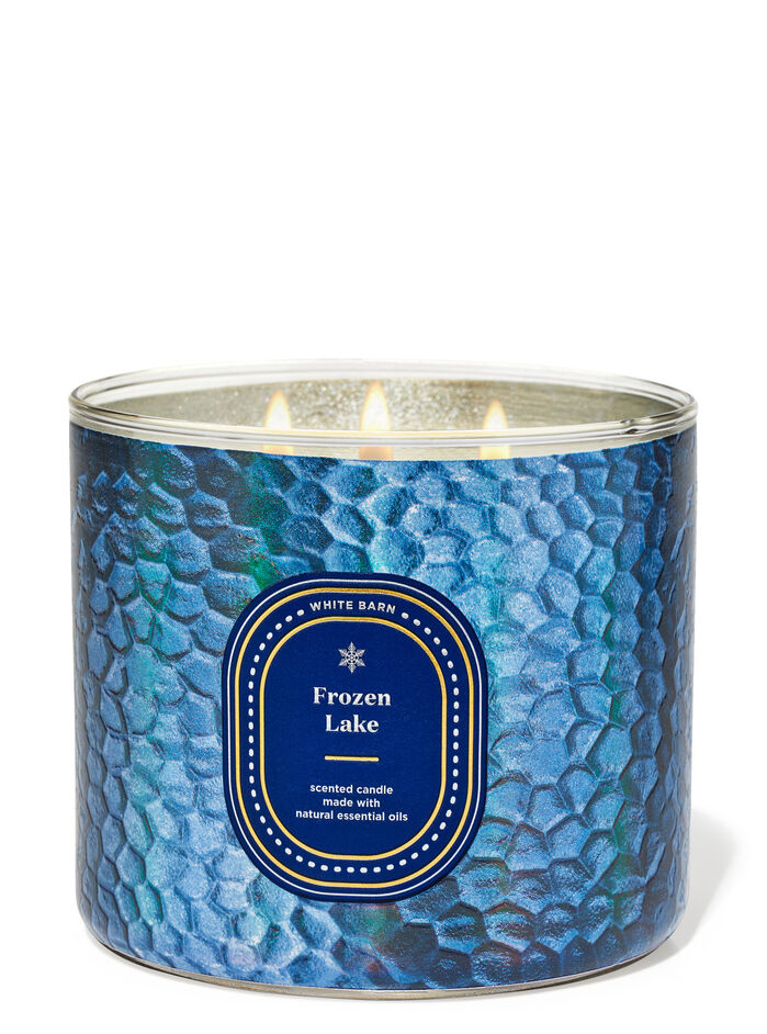 Frozen Lake Home Fragrance/Featured/White Barn collection Bath & Body Works