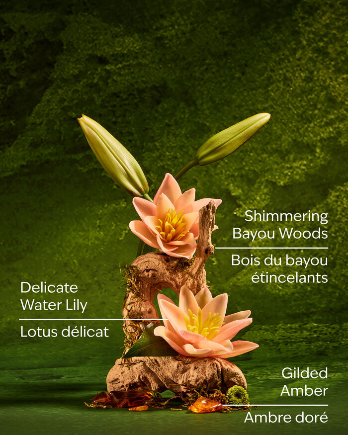 Tiana Body care/Moisturizers/Body cream Bath & Body Works