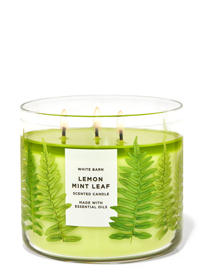 Lemon Mint Leaf Gifts/Collections/Gifts for home Bath & Body Works