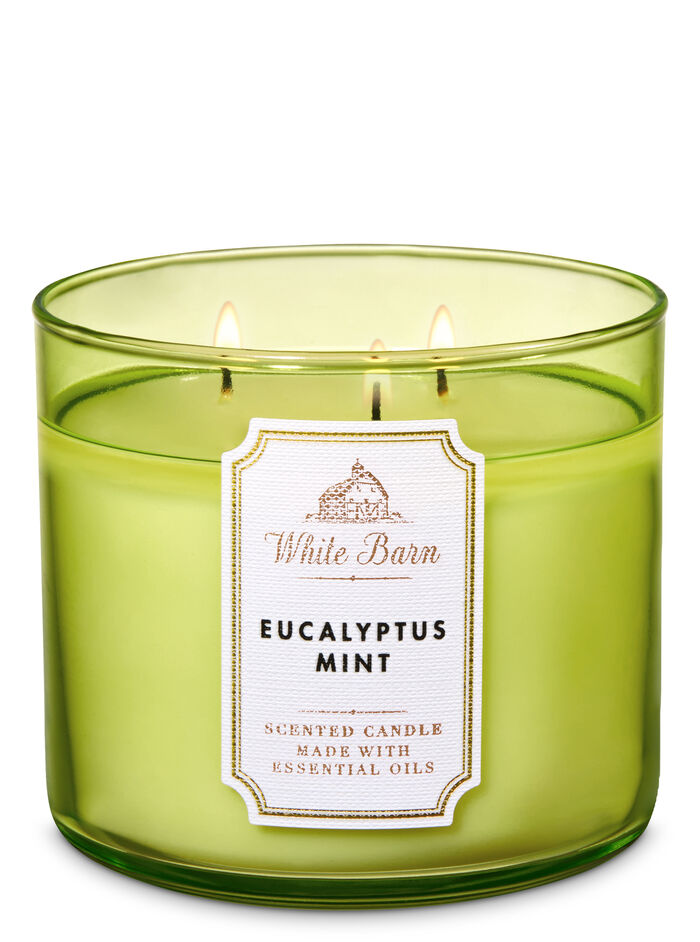 Eucalyptus Mint Gifts/Collections/Gifts for home Bath & Body Works