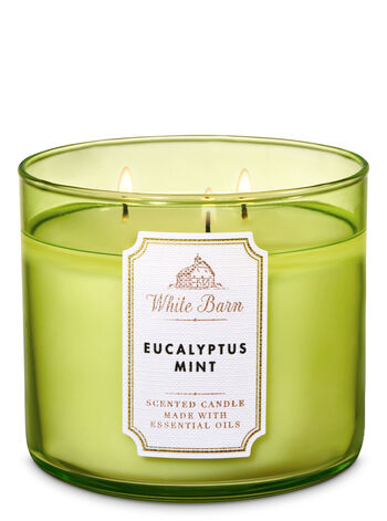 Eucalyptus Mint fragranza 3-Wick Candle