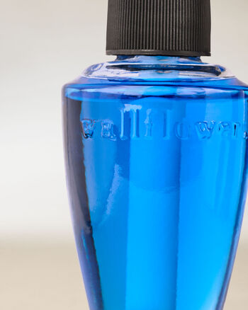 Gingham Home Fragrance/Home & Car Air fresheners/Wallflowers refill Bath & Body Works2