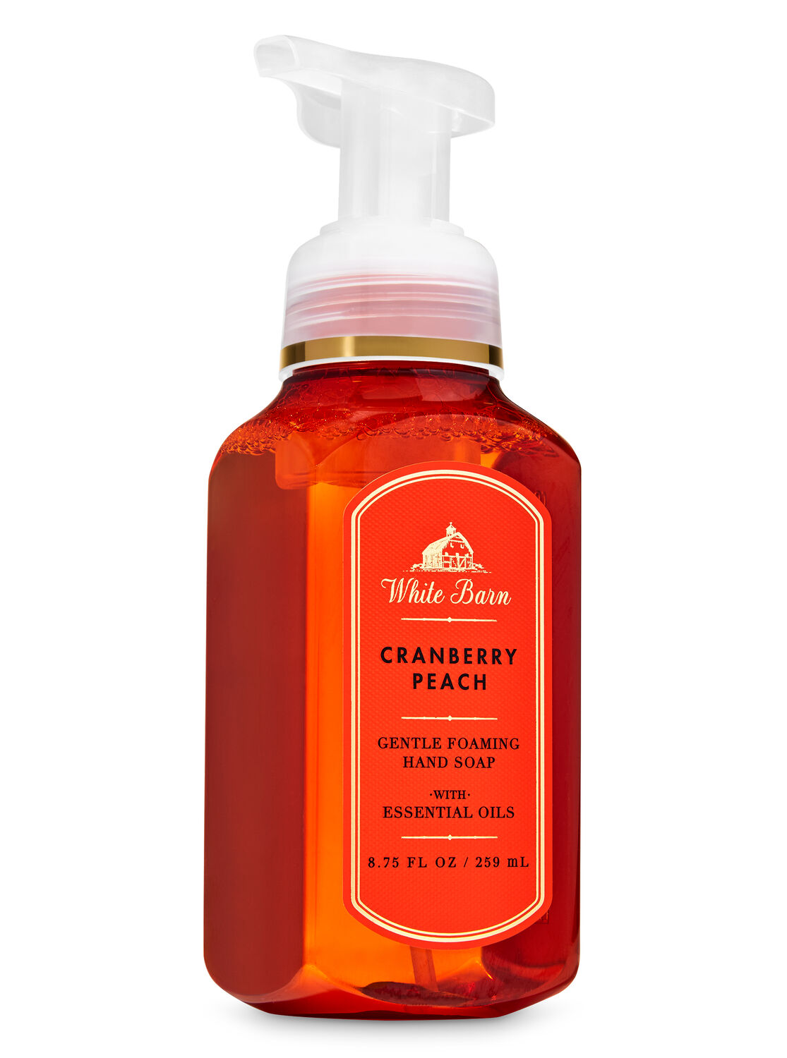 Gentle Foaming Hand Soap Cranberry Peach | Bath & Body Works