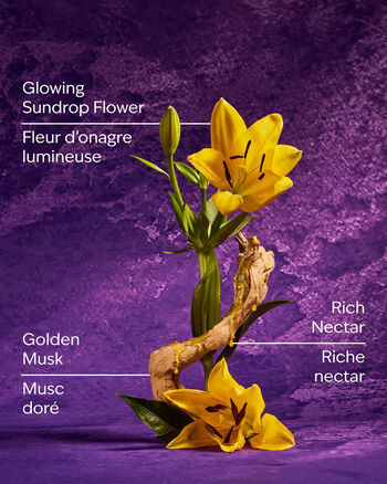 Rapunzel PRODOTTI PER IL CORPO/Skincare/Vedi tutti skincare Bath & Body Works3