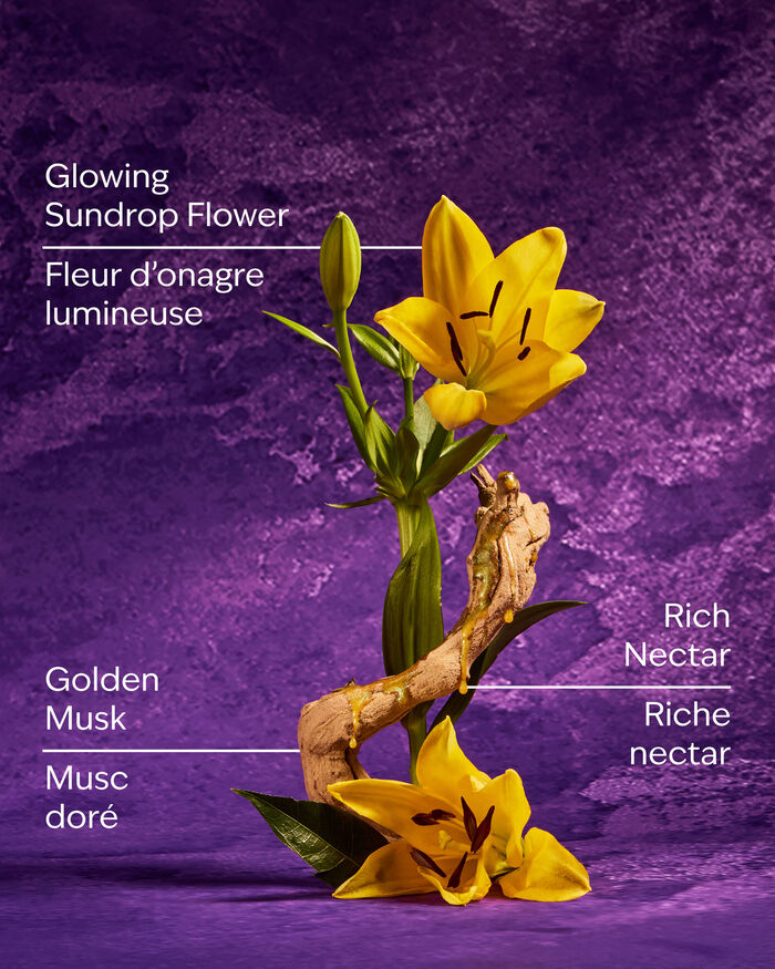 Rapunzel PRODOTTI PER IL CORPO/Skincare/Vedi tutti skincare Bath & Body Works