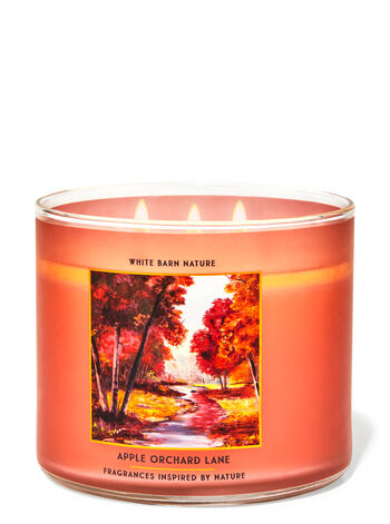 Apple Orchard Lane Fuori Catalogo Bath & Body Works1