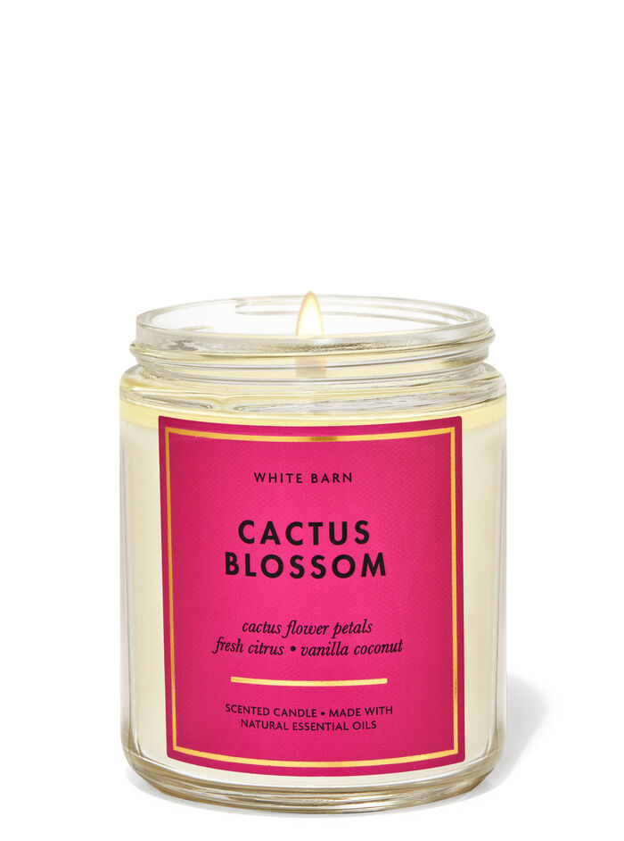 Cactus Blossom fragrance Single Wick Candle
