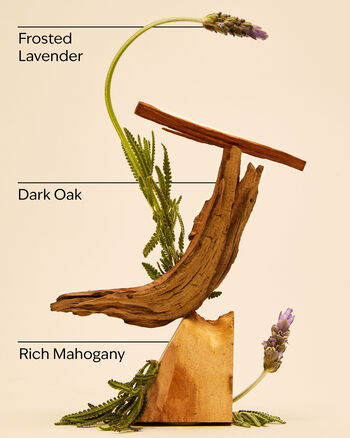 Mahogany Teakwood Home Fragrance/Candles/3-wick candles Bath & Body Works3