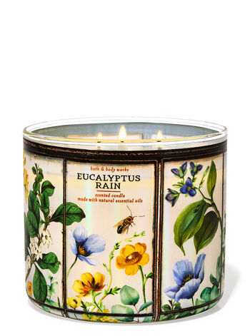 Eucalyptus Rain home fragrance candles 3-wick candles Bath & Body Works1