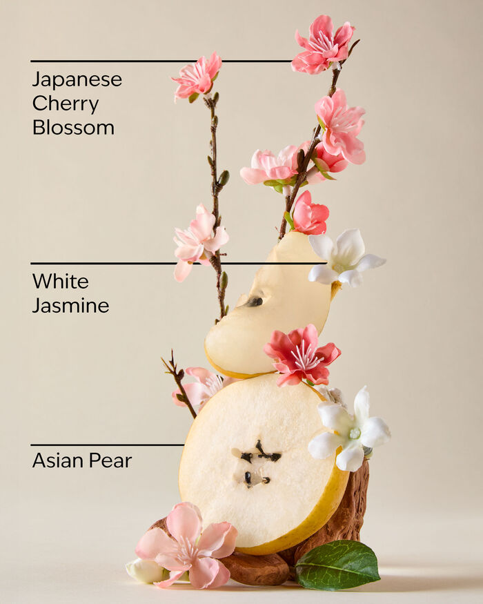 Japanese Cherry Blossom PRODOTTI PER IL CORPO/Skincare/Vedi tutti skincare Bath & Body Works