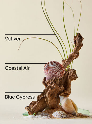 Ocean Hand Soaps & Sanitizers/Hand soaps/Gel soaps Bath & Body Works2