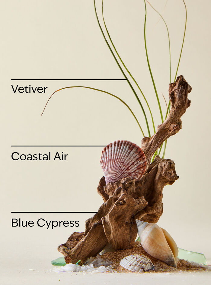 Ocean Hand Soaps & Sanitizers/Hand soaps/Gel soaps Bath & Body Works